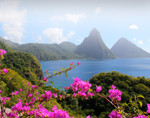 Saintlucia Images